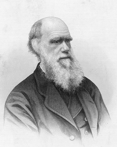 Charles-Darwin1